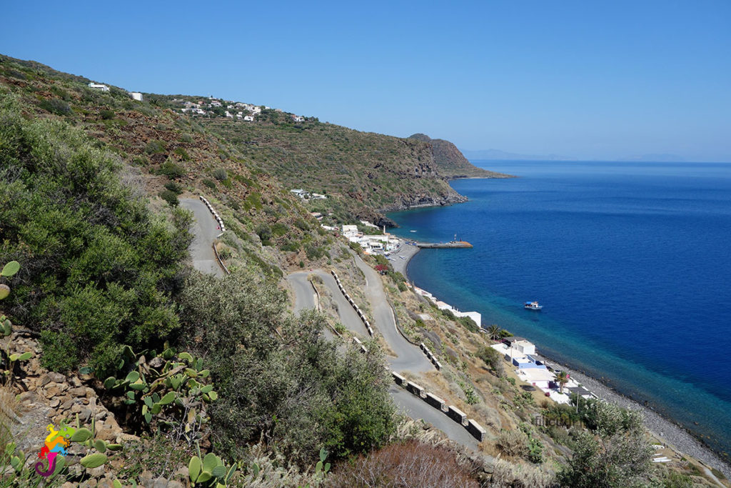 Pecorini