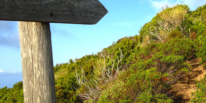 Trekking Fossa Felci Filicudi
